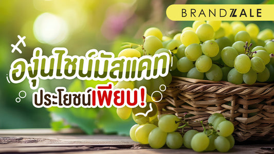 องุ่นไชน์มัสแคท องุ่นผลโตไร้เมล็ด ผลผลิตส่งตรงจากประเทศญี่ปุ่น