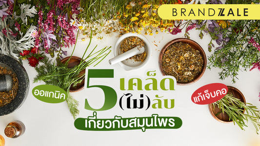 5 สูตรเด็ด เคล็ด(ไม่)ลับ ใช้สมุนไพรแก้เจ็บคอ บำบัดดูแลสุขภาพแบบธรรมชาติ