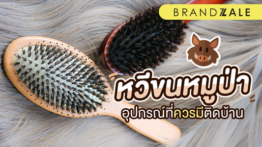 หวีขนหมูป่า เครื่องมือปรับทรงผมได้อิสระ ตามใจคุณต้องการ